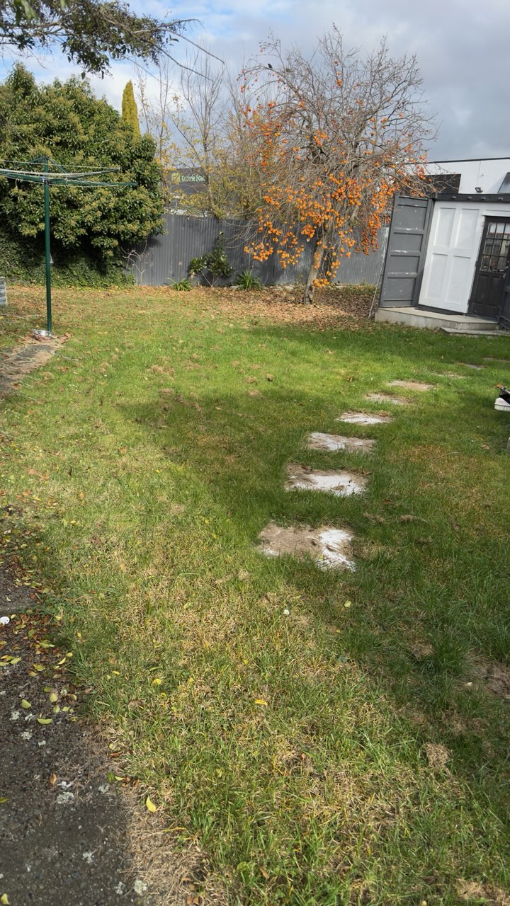 Overgrown back lawn before tidy-up